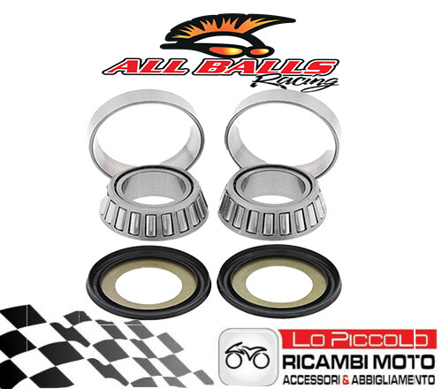 Steering bearings and dust - bearings,
