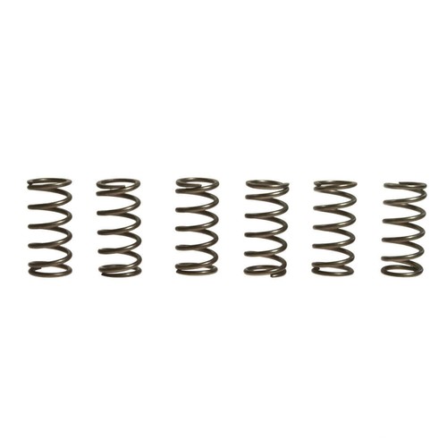 Ebc clutch springs rinf 10 - ebc,