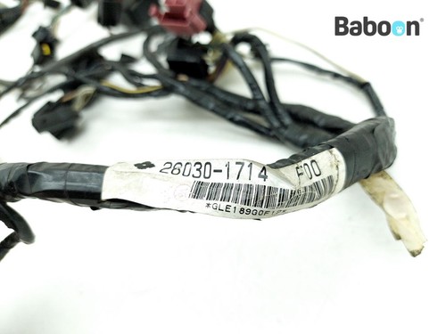 Wiring harness kawasaki - wiring, (main)