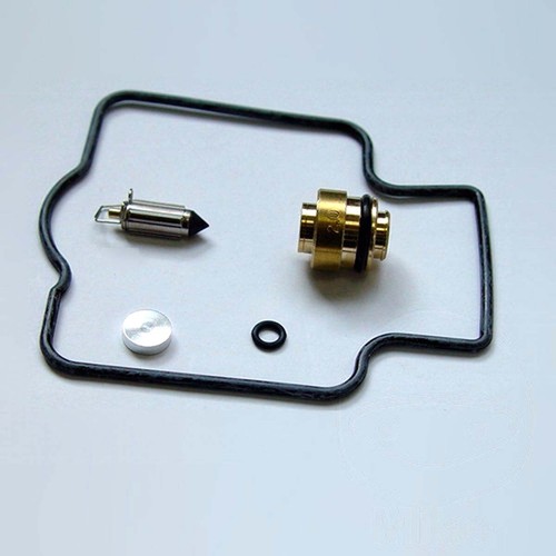 Carburetor overhaul kit - carburetor,